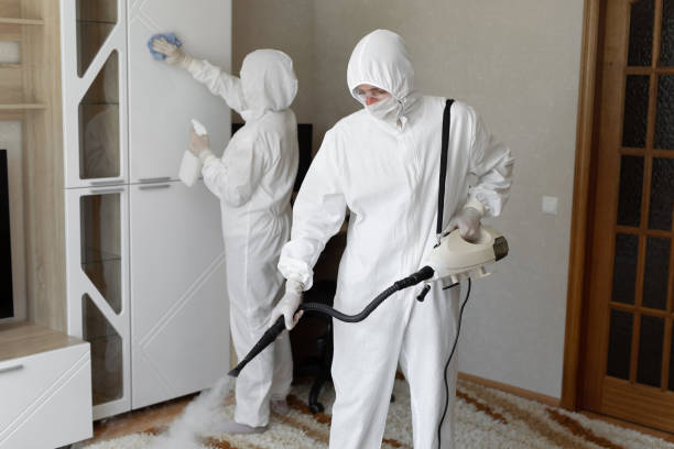 Best Residential Mold Removal  in Driggs, ID