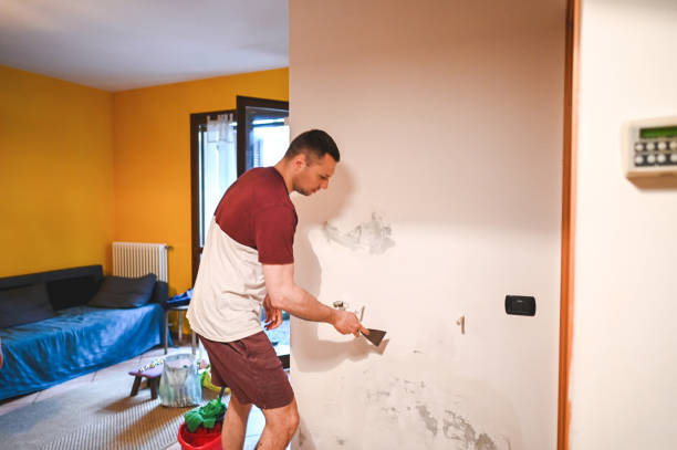 Best Best Mold Removal Companies  in Driggs, ID